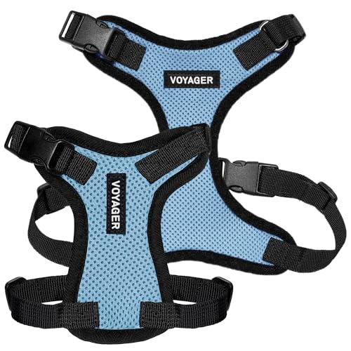 Voyager Step-in Lock Dog Harness - Baby Blue/Black Trim, X-Small | 13 - 16" in Chest, Adjustable, Breathable Air Mesh, Lightweight for Daily Walks, Strong Clips, Heavy Duty D-Ring - color: Harness (Baby Blue/Black Trim), size: XS (Chest: 13 - 16")