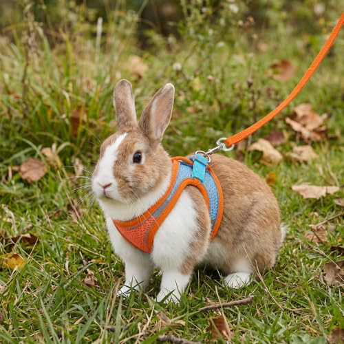 Rabbit Harness and Leash Set Adjustable Cute Bunny Collar | Small Pet Cute Vest Harness-Leash Double Buckle with Reflective Strips Pets Stuff for Rabbit Guinea Pig Duck Stuffed Animal
