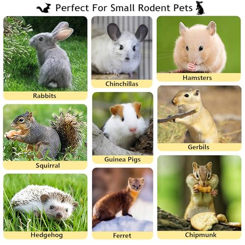 600g Organic Apple Sticks Small Animals Molar Wood Treats Toys for Chinchillas Guinea Pig Rabbits Hamster Gerbil Parrot Bunny Chew Stick Toys, 21.2 OZ - size: 1.33 Pound (Pack of 1)