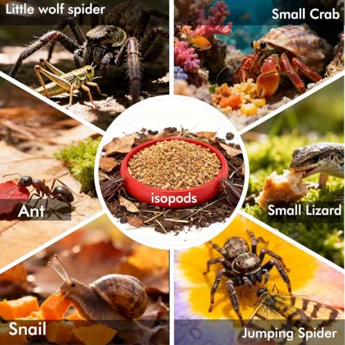 12-Pack Small Feeding Dish for Reptiles, Colorful Feeder Bowls for Isopods, Springtails, Dubia Roaches & Dwarf Invertebrates, Mini Food Bowls for Terrarium & Enclosure