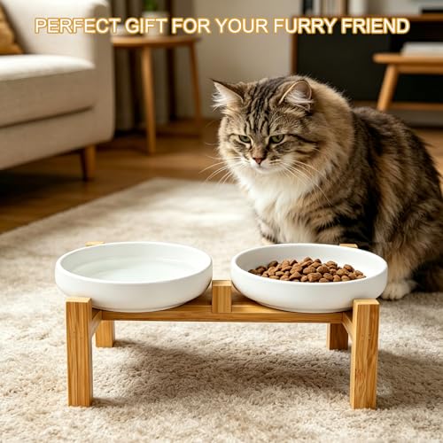Shallow Elevated Cat Bowls with Bamboo Stand, 6.1 Inch Wide Ceramic Cat Dish Whisker Friendly, 2 Pack Pet Food and Water Plates - color: White elevated