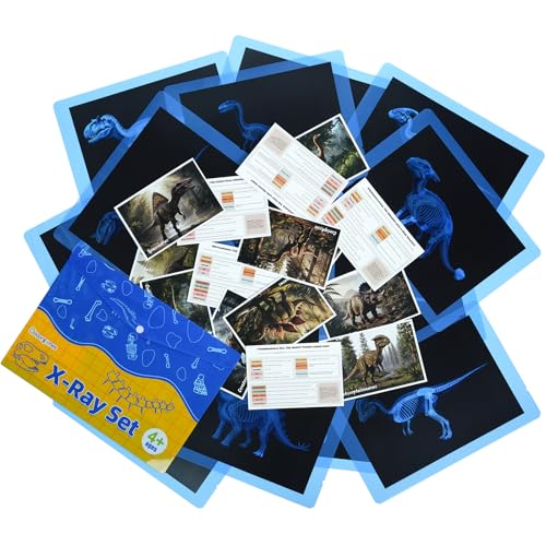 15 Pcs Dinosaur Xrays & Creatures Cards - Light Table Toys | Mythical Creatures Science Kit for Role Play - style: Dinosaur Series