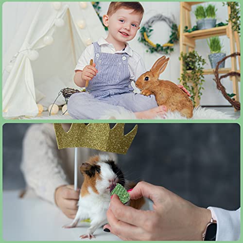 Rabbit Chew Toys Teeth Timothy Hay Sticks, Guinea Pig Chew Treats Toys | Timothy Hay Sticks chew Treats for Rabbit Toys, Chinchillas Hamsters Bunny Guinea Pig Rats and Animals Teeth Care - size: 36Pack-sticks Set