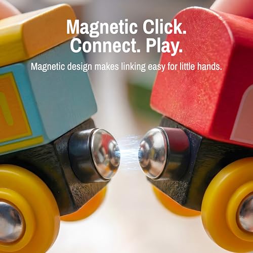 Montessori Animal Wooden Train Toy Set for Kids, 12PCS Magnetic Train Cars with Storage Gift Box, STEM Educational Toy for Boys & Girls, Ages 18Month - 8 Years, Easter Birthday Party Gift