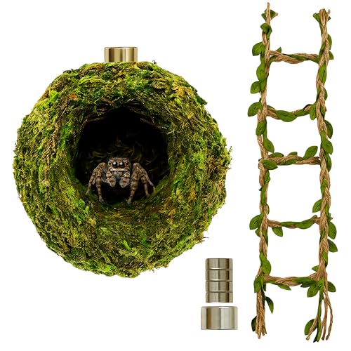 Jumping Spider Accessories - Moss Hideout with Hemp Rope Bridge | Magnetic decor set for jumping spider enclosures. Premium moss hideout & hemp rope bridge expand climbing space.
