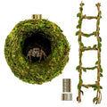 Jumping Spider Accessories - Moss Hideout with Hemp Rope Bridge | Magnetic decor set for jumping spider enclosures. Premium moss hideout & hemp rope bridge expand climbing space.