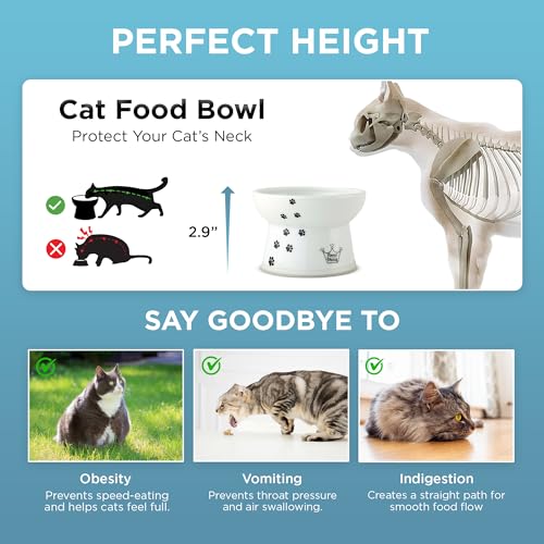 Necoichi Ceramic Elevated Cat Food Bowl, Whisker-Friendly (Cats, Regular) - color: Cat, size: Regular