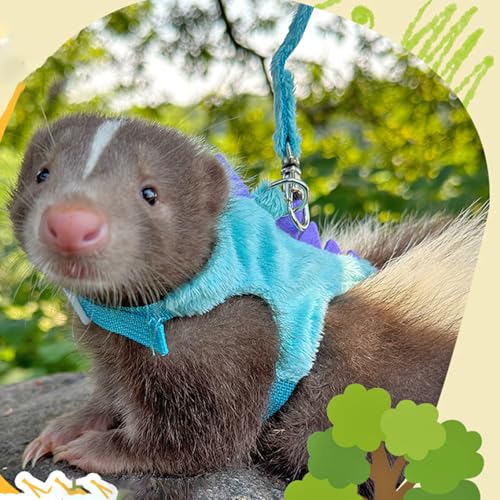 Ferret Harness and Leash Set Small Animals Vest Harness with Safe bell Dinosaur Shaped Walking clothes for Baby Rabbit Guinea pig Teacup Chihuahua Mouse and other small pet.(Blue Dinosaur) - color: Blue Dinosaur