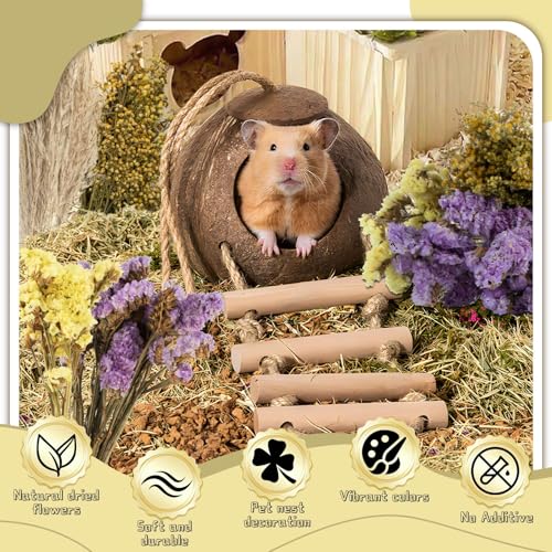 Sukh 47 Pcs Hamster Sprays - Natural Dried Flower and Herb Forage Mix | Sprays for Hamster Cage Accessories, Habitat Decor & Enrichment for Syrian Dwarf Hamsters, Gerbils, Guinea Pigs, Small Pets