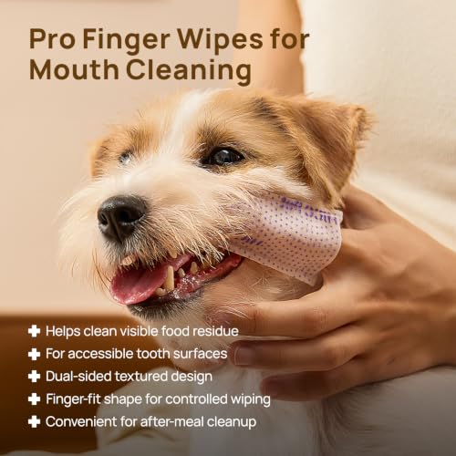 HICC PET Pro Finger Wipes for Dogs & Cats, Mint, 50 Count | Dual-sided textured wipes for routine mouth cleaning and visible food residue, designed for convenient after-meal cleanup - color: Pro Mint, size: 50 Count (Pack of 1)