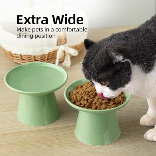Ceramic Elevated Cat Bowls - 6.2 Inch Extra Wide Raised Cat Food and Water Bowl Set for Indoor Cats, Whisker-Friendly Ceramic Cat Dish for Elder Big Cats & Small Dogs,Green,2 Pack - color: Green, size: 2 Pack