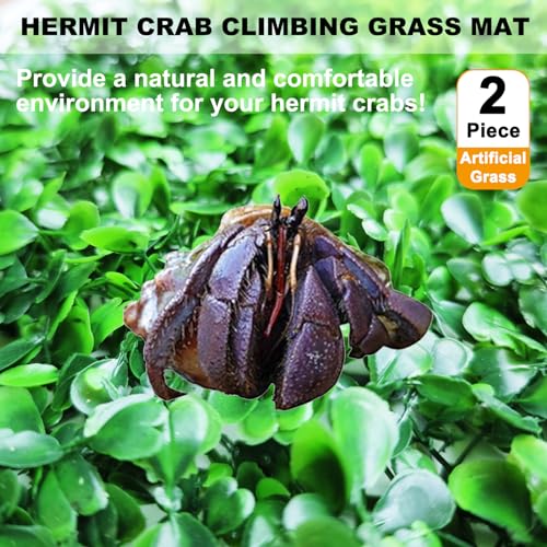 2 PCS Hermit Crab Climbing Toys Faux Grass Mat 10 x 10 Inch Fake Turf Hermit Crab Climbing Wall Square Plastic Aquarium Plants Lawn HermitCrabs Supplies Small Animals Cage Accessories - color: Dark Green