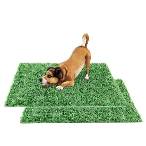 Dog Grass Pee Pad for Training, 33"x 20.6" Reusable Washable Replacement Artificial Grass for Potty Tray, Indoor/Outdoor Turf Grass, Realistic Fake Grass for Dogs (Pack of 2) - size: 33×20.6 Inch(Pack of 2)
