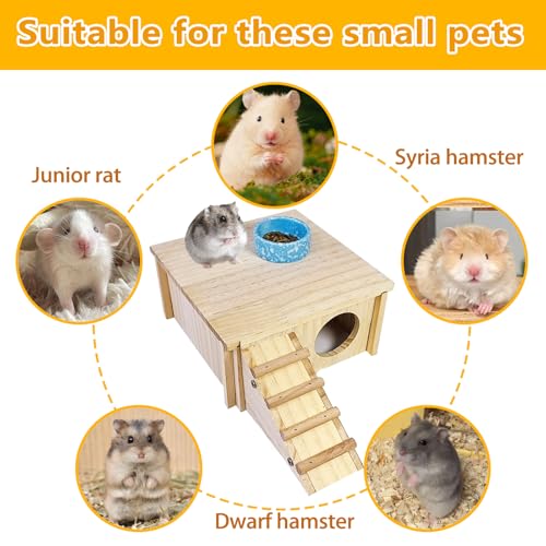 Hamster Wooden House with Ladder Hamster Wood Hideout Activity Platform Exercise Climbing Hut Natural Living Wood Room for Syrian Hamster Gerbil Mice Rat