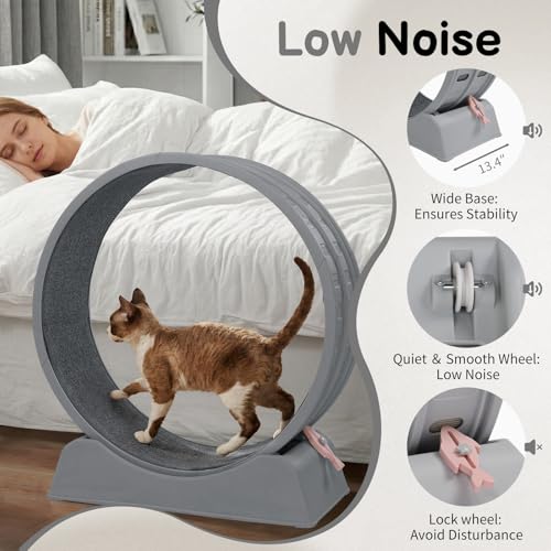 Cat Exercise Wheel for Indoor Cats, 31.5" Cat Treadmill with Detachable Carpet ＆ Locking Mechanism, Cats Running Wheel Helps Cats to Lose Weight and Keep Health, Easy Assembled (Gray)