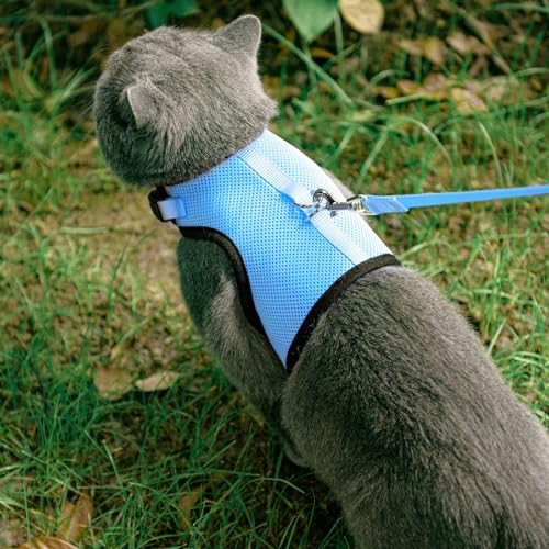 PUPTECK Soft Mesh Cat Vest Harness and Leash Set Puppy Padded Pet Harnesses Escape Proof for Cats Small Dogs, Blue Medium - color: Blue, size: M(NECK 7", CHEST 10.5", 4-6 lbs)