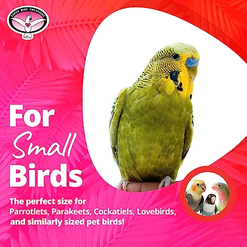 Super Bird Creations SB516 Mini Rainbow Bridge Bird Toy, Small Bird Size, 9" x 2"