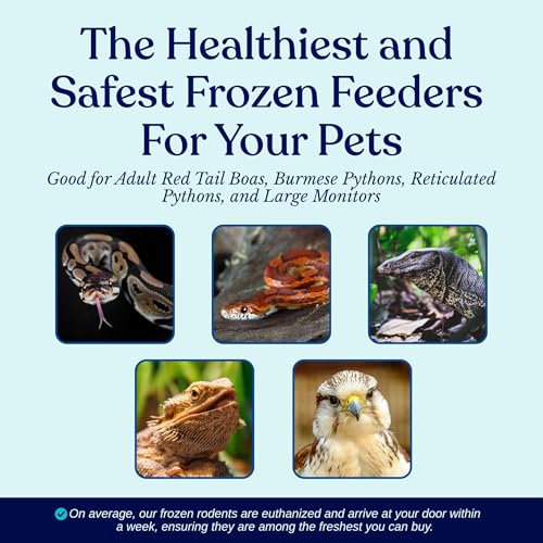 MiceDirect 20 Frozen Large Feeders Snake Food for Adult Red Tail Boas (8-9 in)(3500 Grams Min) - size: 8-9 in (Pack of 20)