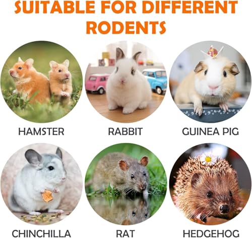 Sofier 16Pcs Timothy Hay Treats - Natural Chews for Teeth - Handmade Rabbit, Chinchilla, Gerbil, Rat, Hamster Toys - Bunny & Guinea Pig - style: 16pcs Treats