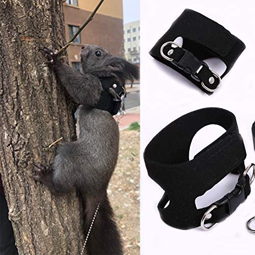 Squirrel Traction Rope with 1.8m Lead Leah, Adjustable Small Animal Walking Harness, Anti-Biting Chain Rope Vest Strap for Hamster Gerbil Rat Mouse Ferret Chinchilla and Small Animals - color: Black