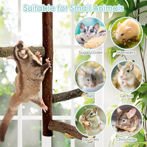 Sugar Glider Toy Natural Fruitwood Perch Stand Squirrel Hanging Wooden Climbing Pole Hamster Paw Grinding Perch Small Animal Cage Accessories for Chinchillas Rats Gerbil - color: Applewood - Climbing Perch