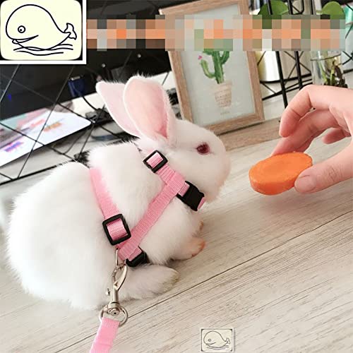 2 Pcs Adjustable Bunny Rabbit Harness with Leash Cat Puppy Walking Harness Leash Pet Harness Leash for Pigs Hamster Small Animals Pink and Light Blue - color: Pink and Light Blue