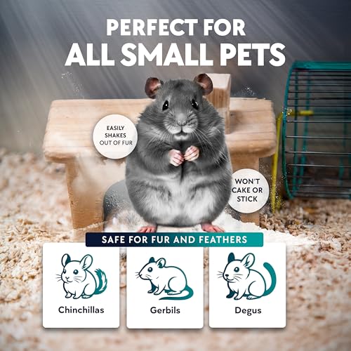 3 LB. Chinchilla Dust Bath Jar - Pure Cleansing Pumice Sand Dust for Cleaning Small Pets Like Gerbils, Mice, Degu - Premium, All Natural Dusting Powder - Chinchilla Accessories by Billy Buckskin - size: 3 Lb.