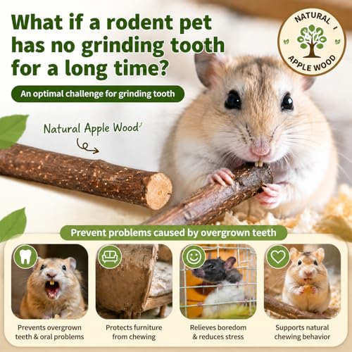 Sukh Natural Organic Apple Sticks - 250g Chew Sticks for Small Animals | Chew Toys for Hamsters, Rabbits, Guinea Pigs, Gerbils, Chinchillas & Squirrels, Teeth Grinding Supplies, Cage Accessories - size: 250g