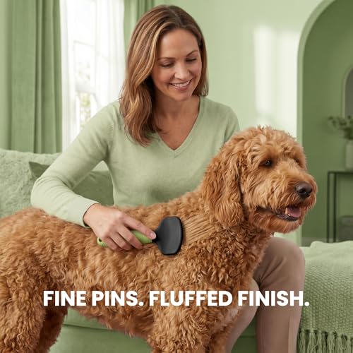 Poodle Pet Slicker Brush - For Dogs, Cats, Rabbits - Matted/Loose Fur, Knots - Suitable for Doodle/Goldendoodle Grooming and Shredding Short/Long Hair (Green) - color: Green, size: Regular Size