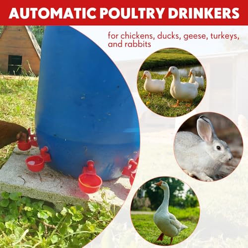 LemonRoad 30 Set Automatic Chicken Waterer Cups with 1/2" PVC Tee Fitting Chicken Drinking Bowl, Poultry Drinker Mounting Hole Opener,Water Dispenser Feeder for Duck, Goose, Turkey, Pigeon(Red) - color: Red 2