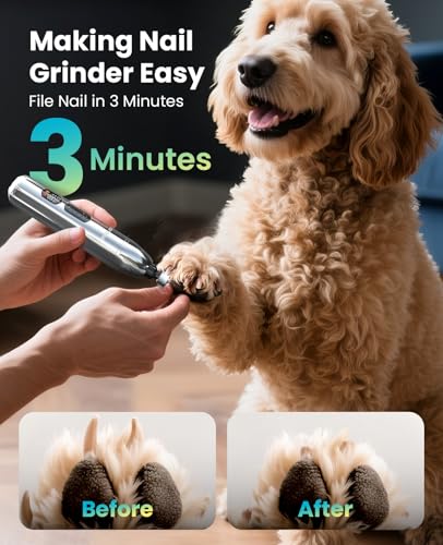 oneisall Dog Clippers for Grooming Thick/Matted Hair, 4-in-1 Grooming Kit | Detachable Stainless Steel Blade, Powerful Motor, IPX6 Waterproof, Low Noise, Paw Trimmer and Nail Grinder, 9 Guide Combs