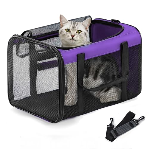 Conlun Cat Carrier Bag,Soft-Sided Pet Carriers for Dogs with 4-Sided Mesh,Airline Approved Cat Transport Carrier for Small&Medium Cats Kitten Puppy Up to 15LB,Collapsible Cat Travel Carrier-M,Purple - color: Purple, size: M