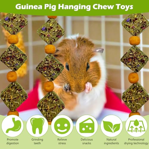 kathson Rabbit Chew Toys for Teeth Bunny Natural Timothy Grass Cake Guinea Pig Hanging Chew Toys Treats for Bunny Chinchilla Hamsters Squirrel and Other Small Pets Playing Improve Pets Dental - style: Style D