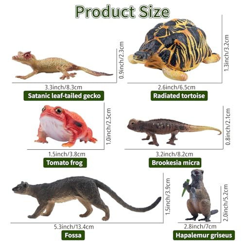 Toymany 12PCS Madagascar Animal Figurines Set, Realistic Lemur Jungle Animal Toys Set Includes Chameleon, Tortoise,Gecko,Fossa,Sifaka -Educational Forest Animals Figure Toy Collection for Kids Adults - style: Jungle Animal-1