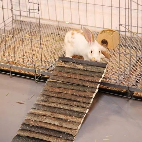 PINVNBY Extra Large Wooden Bunny Ladder Bridge (25 x 15 inches), Rabbits Hideout, House, Tunnel, Rodents Chew Toys for Guinea Pig, Chinchillas, Hedgehogs, Ferrets, Rat - size: 1 PCS, XL ( 25 X 15 inches )