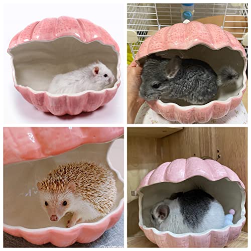Small Animal Hideout Extra Large Ceramic Shell Shape Guinea Pig House Chinchilla Igloo Habitat Hut Cave Summer Bed Cage Accessories for Hedgehog Rabbit Hamster Gerbil Rat (XL (9.5''x7''x7.9''), Pink) - color: Pink