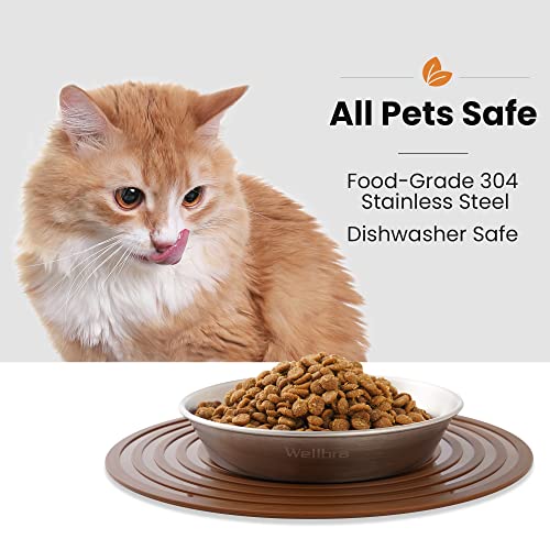 Cat Food Bowls, 2 Pcs Stainless Steel Cat Food and Water Bowls, Whisker Fatigue Shallow Cat Dishes, Small Dog Puppies Fat Faced Cat Kitten Supplies - color: 2 Basic Bowls