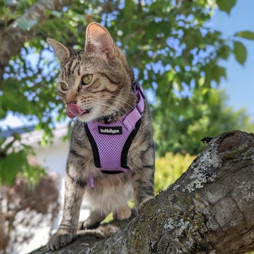 rabbitgoo Cat Harness and Leash Set, Escape Proof Vest, Light Purple | Soft Breathable Mesh, Easy Adjustable Fit, Snap Buckles, Sturdy Clip, Reflective Strips, for Small & Average Cats Walks, Xs - color: Light Purple, size: Xs