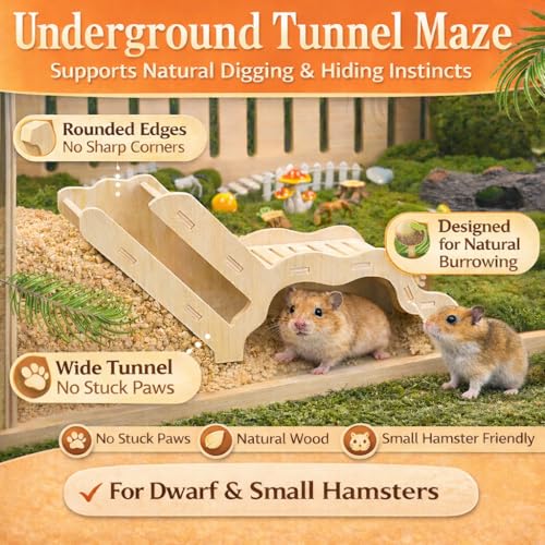 Small Size Hamster Explorer Set - Snap-Together Wooden Burrow with Panoramic Window, Natural Chew-Safe Design & Underground Activity Viewer for Cage Enrichment