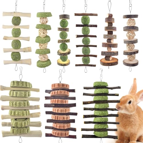 ERKOON Bunny Chew Toys, Rabbit Chew Toys for Teeth Grinding, Improve Dental Health, 100% Natural Apple Wood Timothy Grass Cake Treats for Rabbits Guinea Pigs Chinchillas Bunnies Hamsters (9 Pcs) - style: 9 Pcs