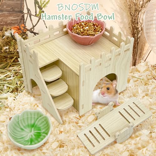 BNOSDM 2 Pcs Hamster Ceramic Food Bowl Flower Series Gerbil Drinking Bowls Anti-Turning Food & Water Dish for Dwarf Syrian Hamsters Gerbil Chinchilla（Green, Rose Pattern） - color: Green