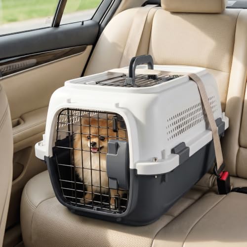Magshion 18 Inch Hard-Sided Dog Cat Carrier, Grey | Top&Front Door Access, Plastic Dog Kennel for Traveling, Durable Handle, Ventilation, Detachable Pet Bowl, For Pet Up 20 lbs - size: 18"L x 10.5"W x 12"H