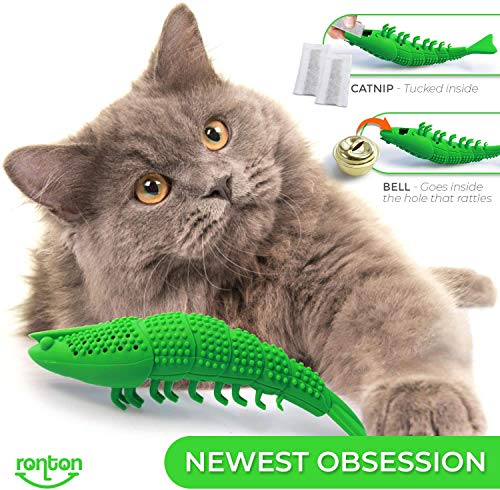 Ronton Cat Toothbrush Catnip Toy - Durable Hard Rubber - Dental Care, Cat Interactive Toothbrush Chew Toy (1 Pack Green (Shrimp) - size: 1 Pack (Shrimp)