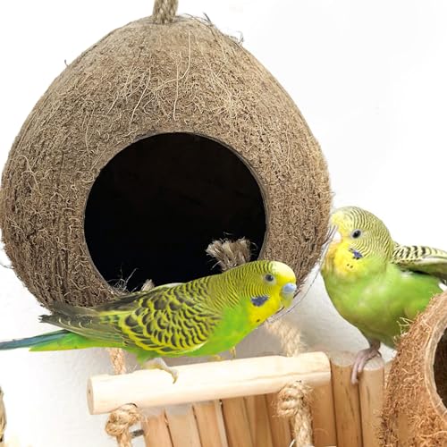 Bird Coconut Hides Nest with Ladder Parrot Cage Hanging Natural Coco Shell Hut Hide Toy with Wooden Bridge Hollow Hideaway Toys for Parakeet Lovebird Finch Canary 2PCS - size: 2PCS 22.04*13.38in