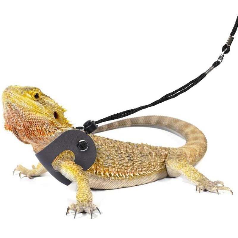 Small Animal Sling Carrier,Small Animal Bag for Bearded Dragons Lizards and Reptile with Adjustable Strap Tow Rope 3 Sizes Pack + Small Animal Sling Carrier（Blue Grid） - color: Blue Grid