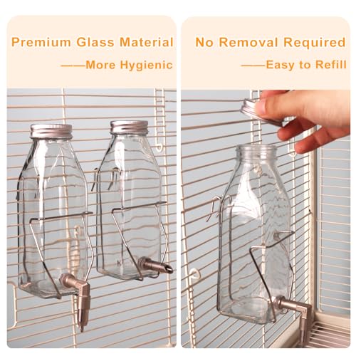 Guinea Pig & Rabbit Water Bottle, 350ml No-Drip Chew-Proof Glass Dispenser with Stainless Steel Nozzle for Hamster, Squirrel, Bird, Guinea Pig Cage (350-S)