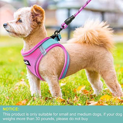 haapaw Dog Harness with Leash Set, No Pull Adjustable Reflective Step-in Puppy Harness with Thickened Padded Vest for Extra-Small/Small Medium Dogs - color: Blue / Pink, size: XS