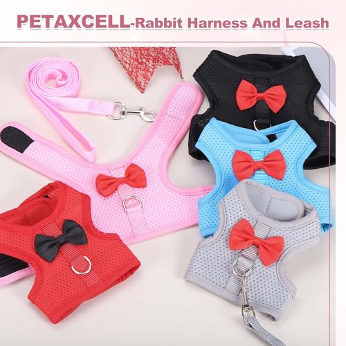 Rabbit Harness and Leash, Small Pet Cute Vest Harness Leash Soft Adjustable Buckle Breathable Mesh (L, Sky Blue) for Bunny Kitten Small Pig Puppies Camping Hiking Training - color: Sky Blue, size: L