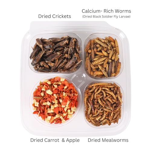 Hedgehog Treat Variety Pack - Healthy Natural Treat Sampler - Mealworms, Black Soldier Fly Larvae, Crickets, Apples, Carrots - Value Package