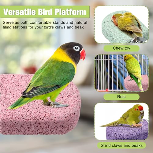 4 Pack Bird Beak Grinding Stone, Pumice Lava Ledge for Birds, Chinchillas, Hamsters, Parrots, Bird Perch Stand Climbing Ledge, Teeth & Beak Grinding Block (Short) - size: Short